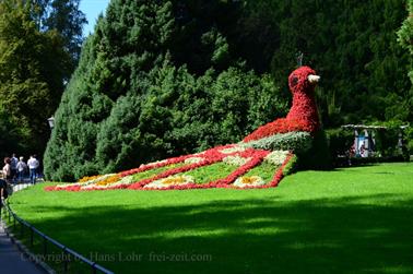 2020 09 03 Insel Mainau,_DSD_7113_b_488px
